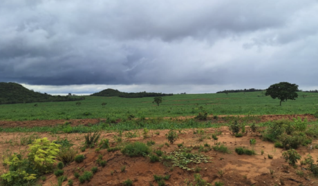 Fazendas para Agricultura à Venda: Invista na Produção de Alimentos