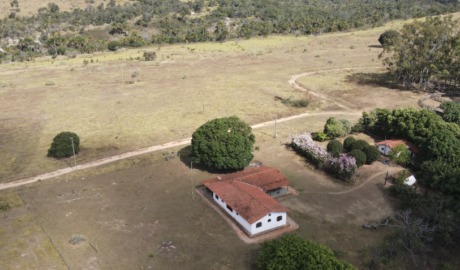 Fazendas para Produção de Leite à Venda: Especialize sua Produção