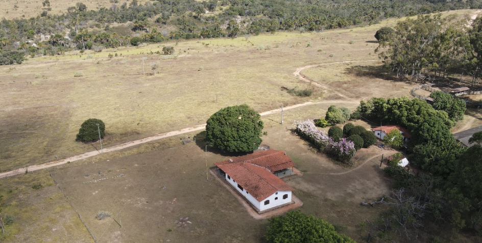 Fazendas para Produção de Leite à Venda: Especialize sua Produção