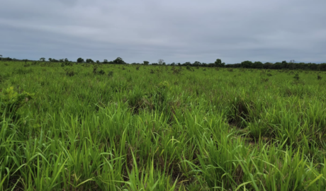 Fazendas para Turismo Rural à Venda: Explore o Potencial do Agronegócio