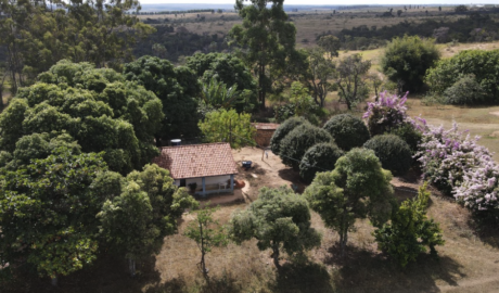 Fazendas para Produção Orgânica à Venda: Invista em Sustentabilidade