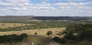 Fazendas para Produção Orgânica à Venda: Invista em Sustentabilidade