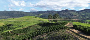 Invista no seu Futuro: Fazenda à Venda com Alto Potencial de Valorização