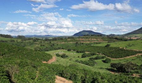 Invista no seu Futuro: Fazenda à Venda com Alto Potencial de Valorização