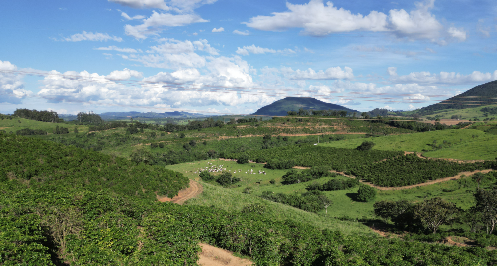 Invista no seu Futuro: Fazenda à Venda com Alto Potencial de Valorização