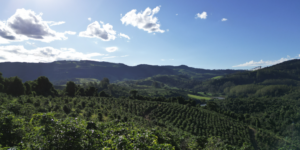 Não Perca Tempo: Fazenda à Venda com Condições Imperdíveis!