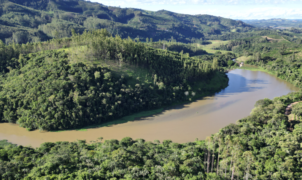 Não Perca Tempo: Fazenda à Venda com Condições Imperdíveis!