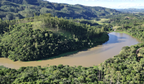 Não Perca Tempo: Fazenda à Venda com Condições Imperdíveis!