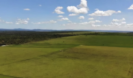 Oportunidade Única: Fazenda à Venda com Preço Imperdível!