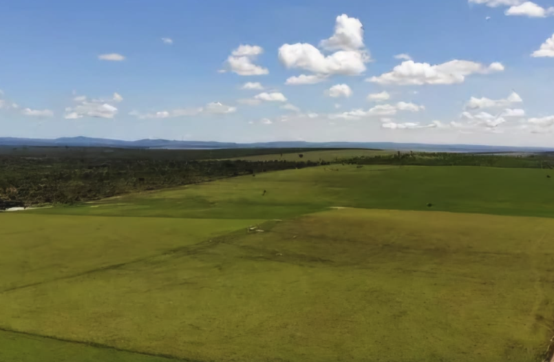 Oportunidade Única: Fazenda à Venda com Preço Imperdível!