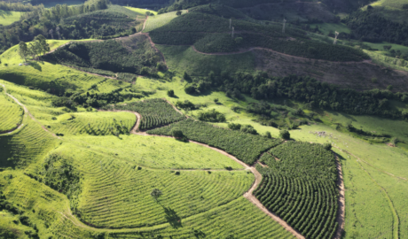 Raridade: Fazenda à Venda com Belezas Naturais Excepcionais