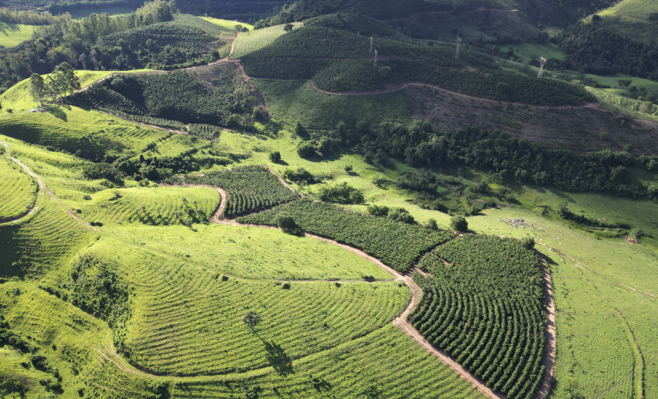 Raridade: Fazenda à Venda com Belezas Naturais Excepcionais