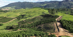 Seu Refúgio Particular: Fazenda à Venda com Privacidade e Conforto