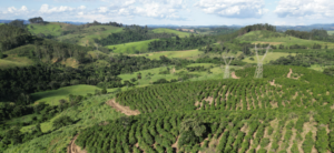 Viva com Qualidade de Vida: Fazenda à Venda em um Ambiente Tranquilo