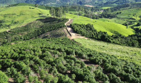 Viva com Qualidade de Vida: Fazenda à Venda em um Ambiente Tranquilo