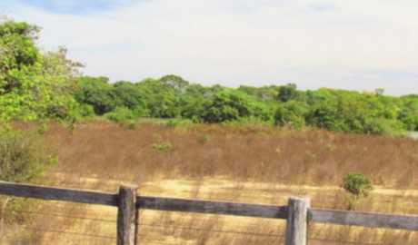 chácaras a venda no Brasil