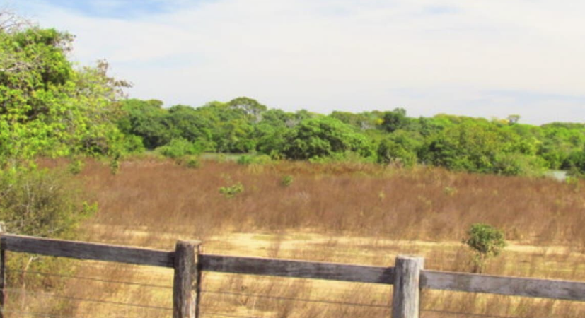 chácaras a venda no Brasil