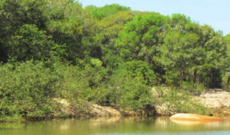 ranchos a venda em todo Brasil