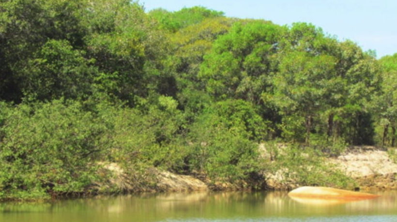 ranchos a venda em todo Brasil