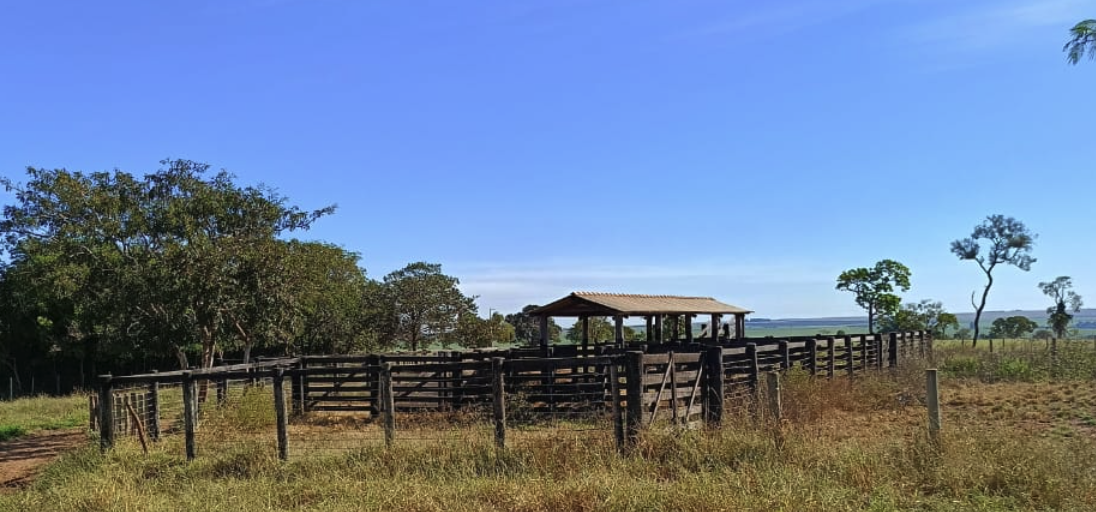 arrendamento de haras