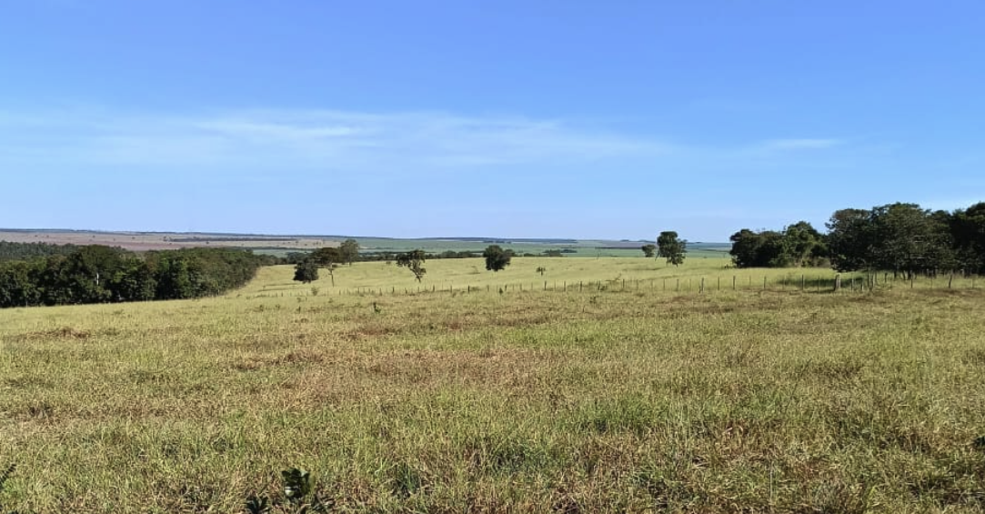 arrendamento de ranchos