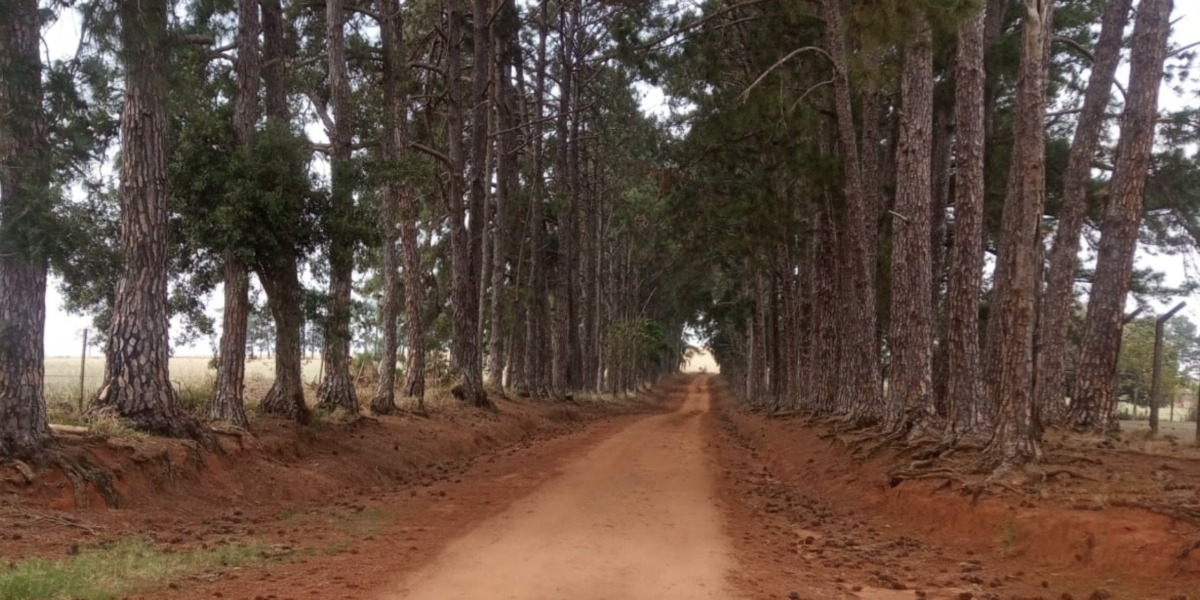 venda de sítios