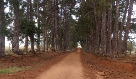 venda de sítios