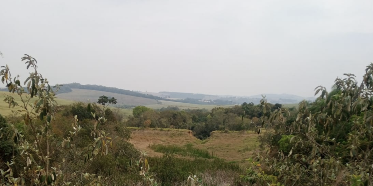 venda de terras