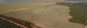 como vender uma fazenda como vender uma fazenda