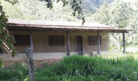 onde anunciar haras para vender
