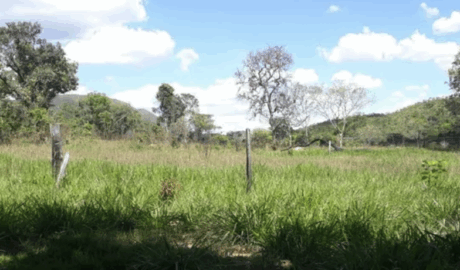 onde anunciar ranchos em GO