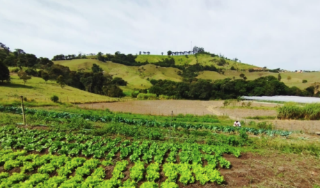 onde comprar um imóvel rural