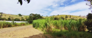 onde comprar uma fazenda onde comprar uma fazenda