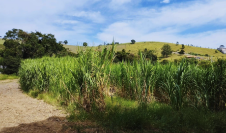 onde comprar uma fazenda