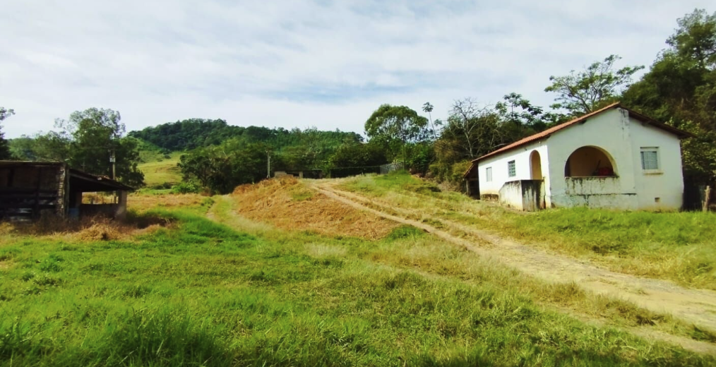 onde comprar uma propriedade rural