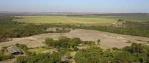 onde vender um haras