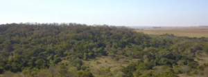 onde vender um imóvel rural