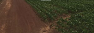 onde vender um rancho