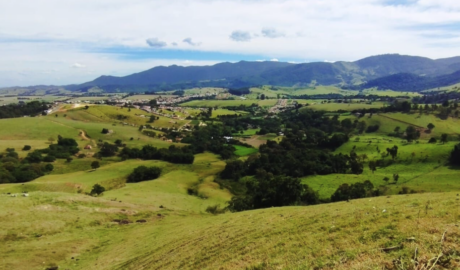 onde vender um rancho