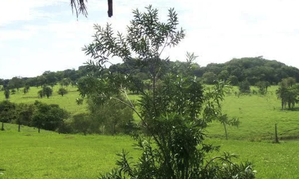 onde vender uma fazenda
