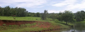 onde vender uma terra