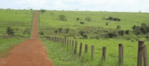 site especialista em ranchos site especialista em ranchos