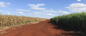 compra e venda de fazendas rurais em todos os estados do Brasil