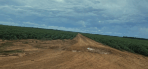 compra e venda de haras em todos os estados do Brasil