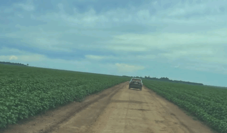 compra e venda de haras em todos os estados do Brasil