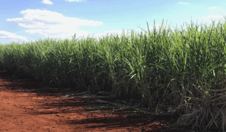 compra e venda de imóveis rurais no Brasil