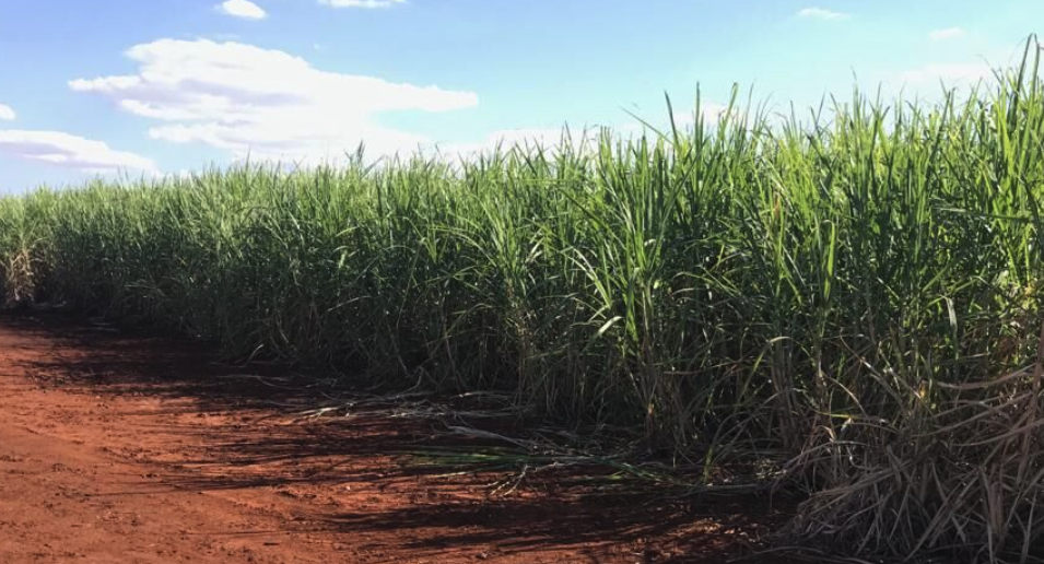 compra e venda de imóveis rurais no Brasil