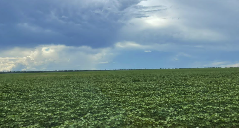 compra e venda de propriedades rurais no Brasil