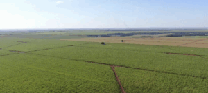 site de classificados de venda chácaras site de classificados de venda chácaras