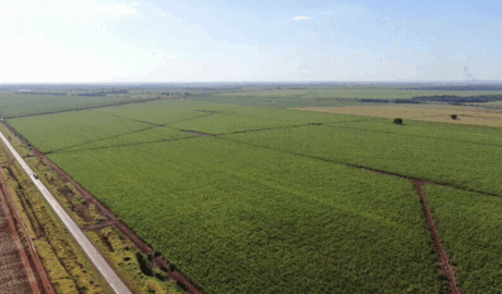 site de classificados de venda chácaras